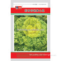 High Quality Brassica Chinese Cabbage Yellow Green Leafy Vegetable Seeds For Growing-Selected Yellow Heart